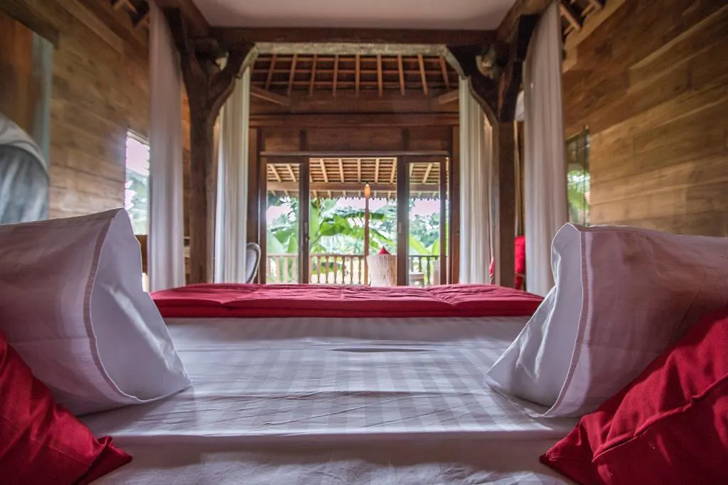 Marika Sawah Villa Seminyak